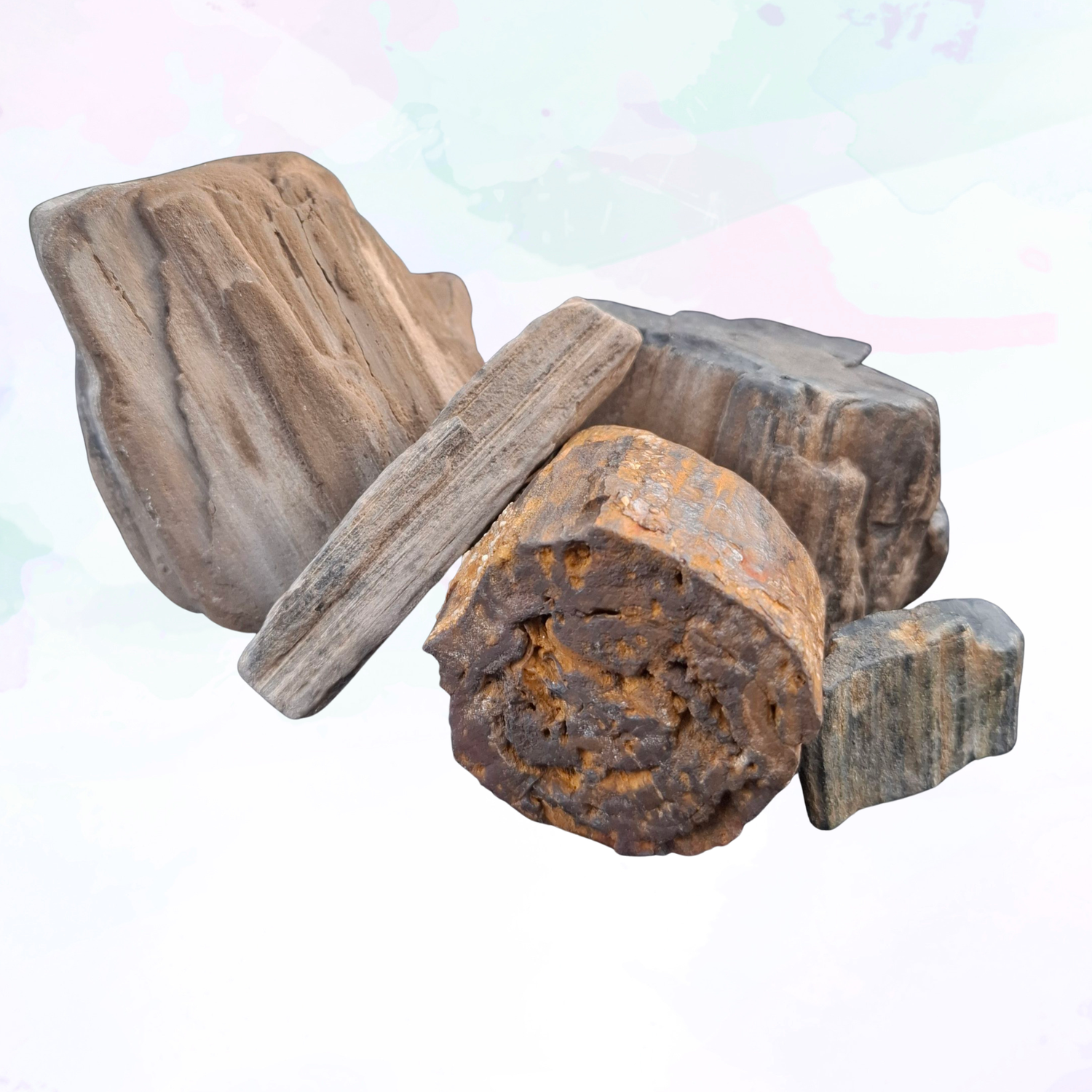 Petrified Wood