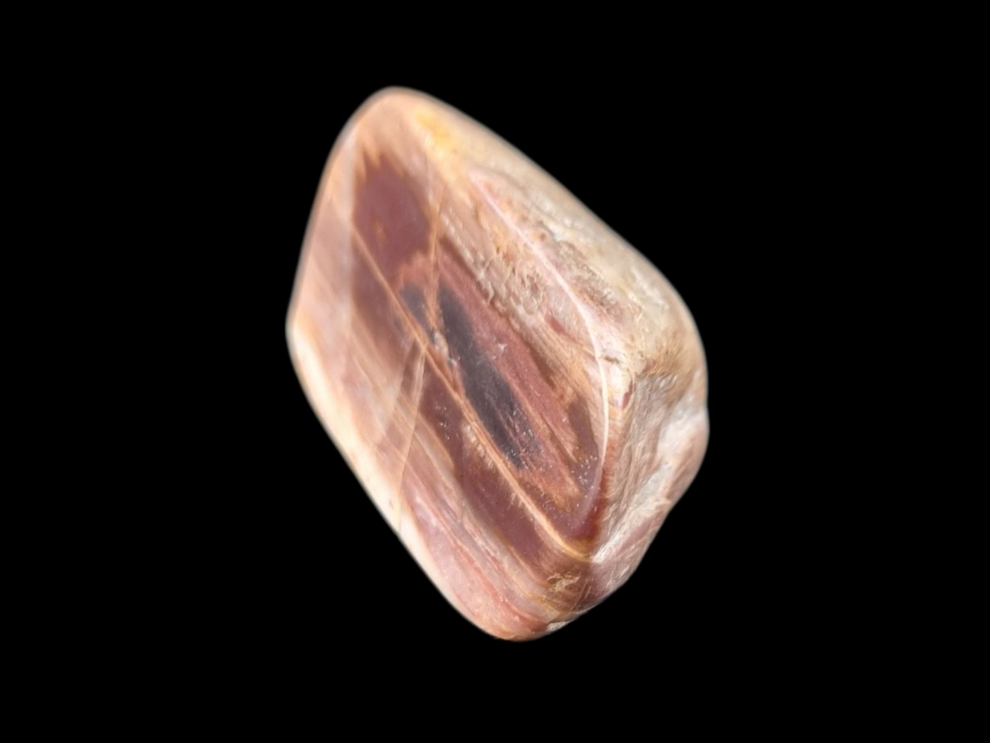 Polished Petrified Wood Slab – Earthy Red & Cream Striations | Natural Fossil Stone | Unique Collector's Piece