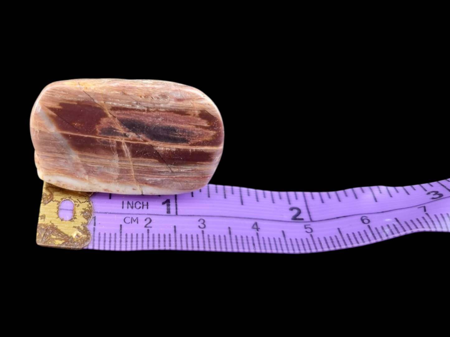 Polished Petrified Wood Slab – Earthy Red & Cream Striations | Natural Fossil Stone | Unique Collector's Piece