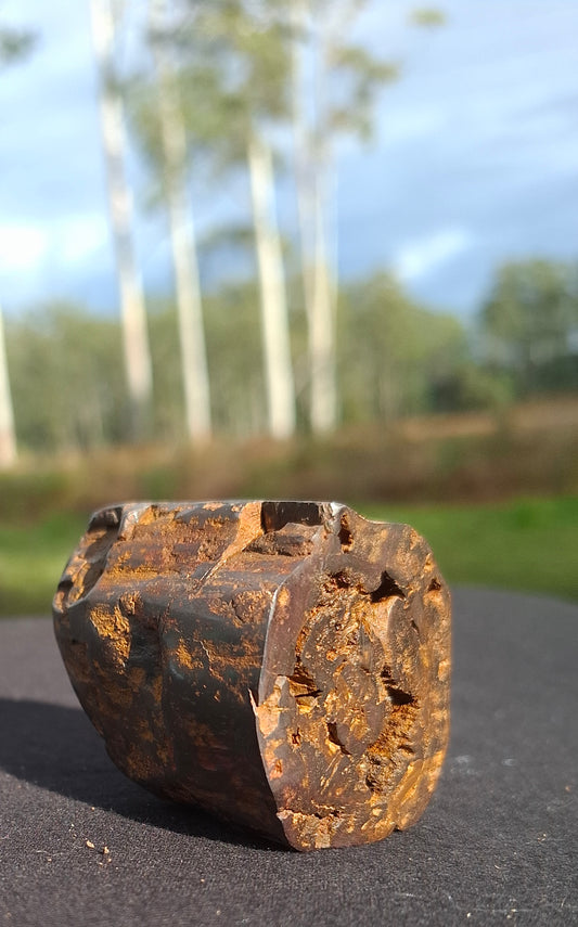 Semi-Polished Petrified Wood Specimen – One-of-a-Kind | Bucca NSW