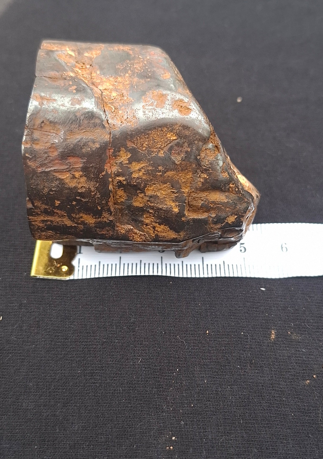 Semi-Polished Petrified Wood Specimen – One-of-a-Kind | Bucca NSW
