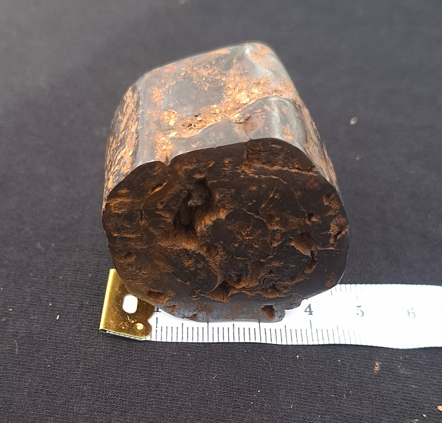 Semi-Polished Petrified Wood Specimen – One-of-a-Kind | Bucca NSW