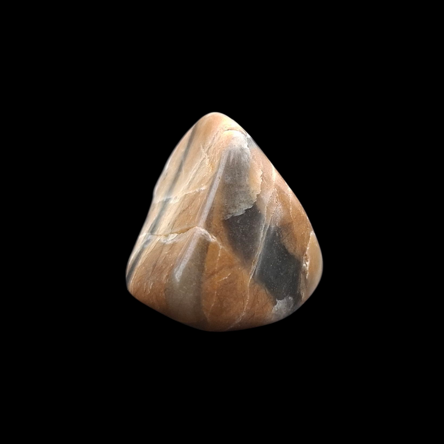 Polished Petrified Wood – Nature’s Stash Fossil Gem (3 cm)