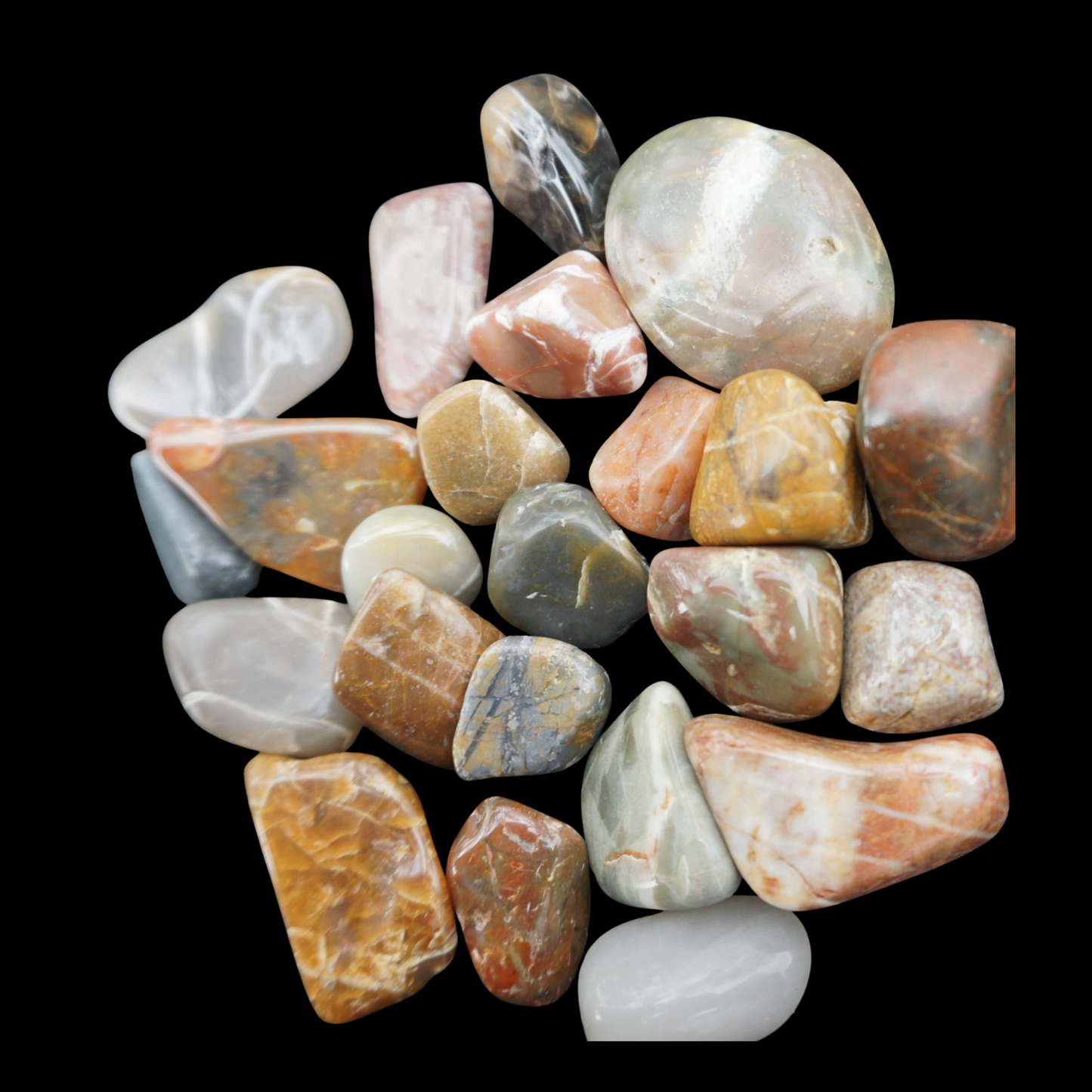 Mystery Stash – Hand-Polished Stones, Gems & Petrified Wood