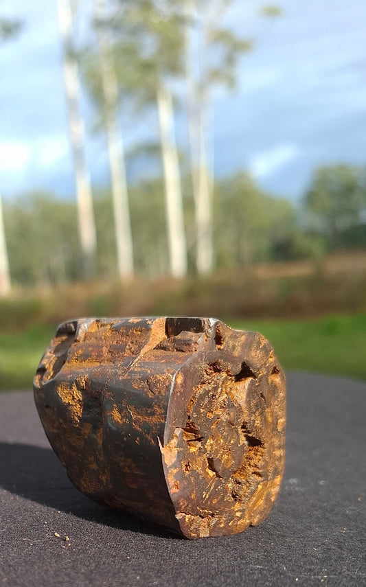 Nature's Stash semi-polished petrified wood specimen from Bucca, NSW, showing natural bark texture and wood grain.