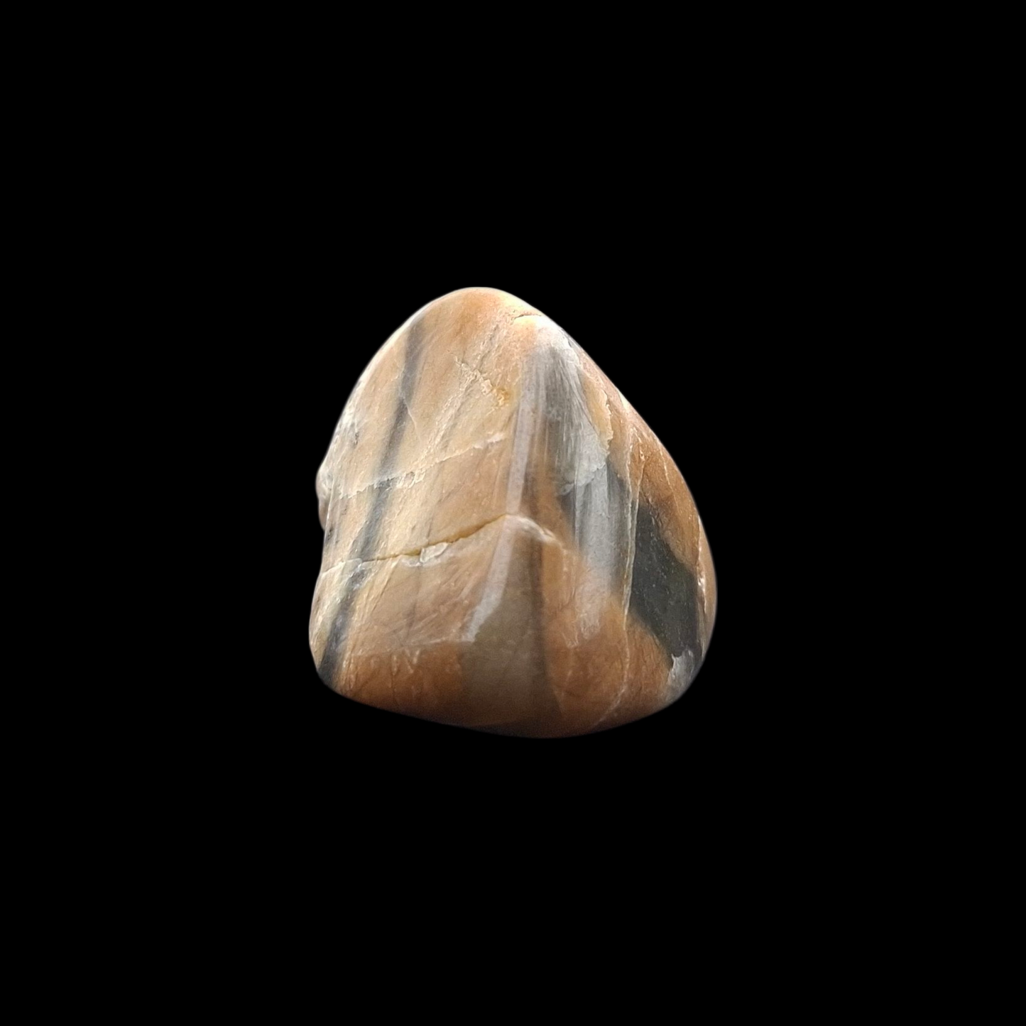 Polished Petrified Wood – Nature’s Stash Fossil Gem (3 cm)