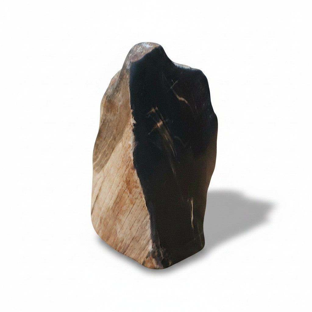 Petrified Wood Specimen – Genuine Bucca NSW Fossil