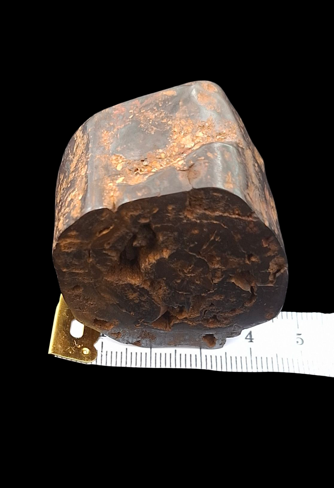 Hand-Cut & Polished Petrified Wood | Fossil Stone from Australia