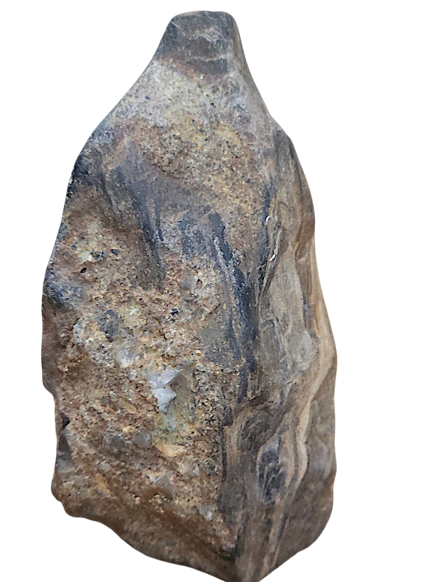 Petrified Wood Specimen – Genuine Bucca NSW Fossil