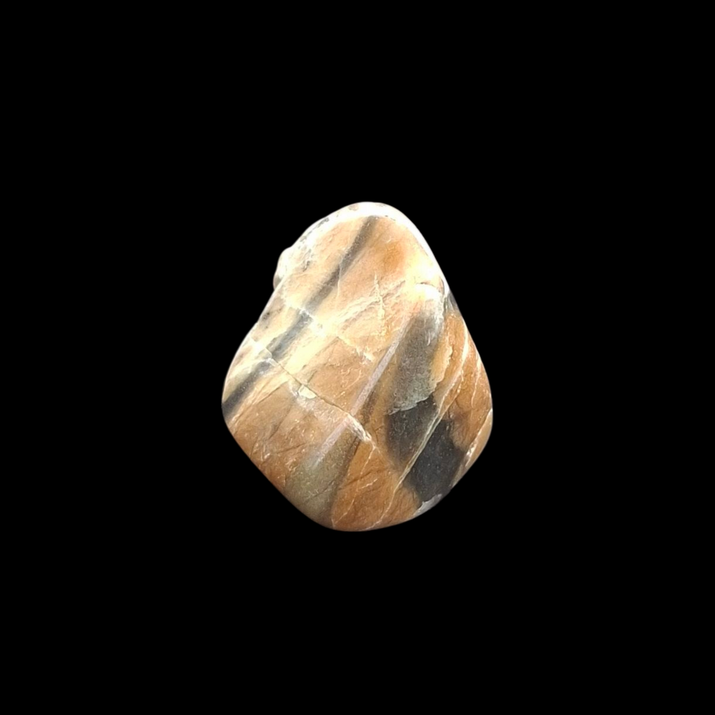 Polished Petrified Wood – Nature’s Stash Fossil Gem (3 cm)