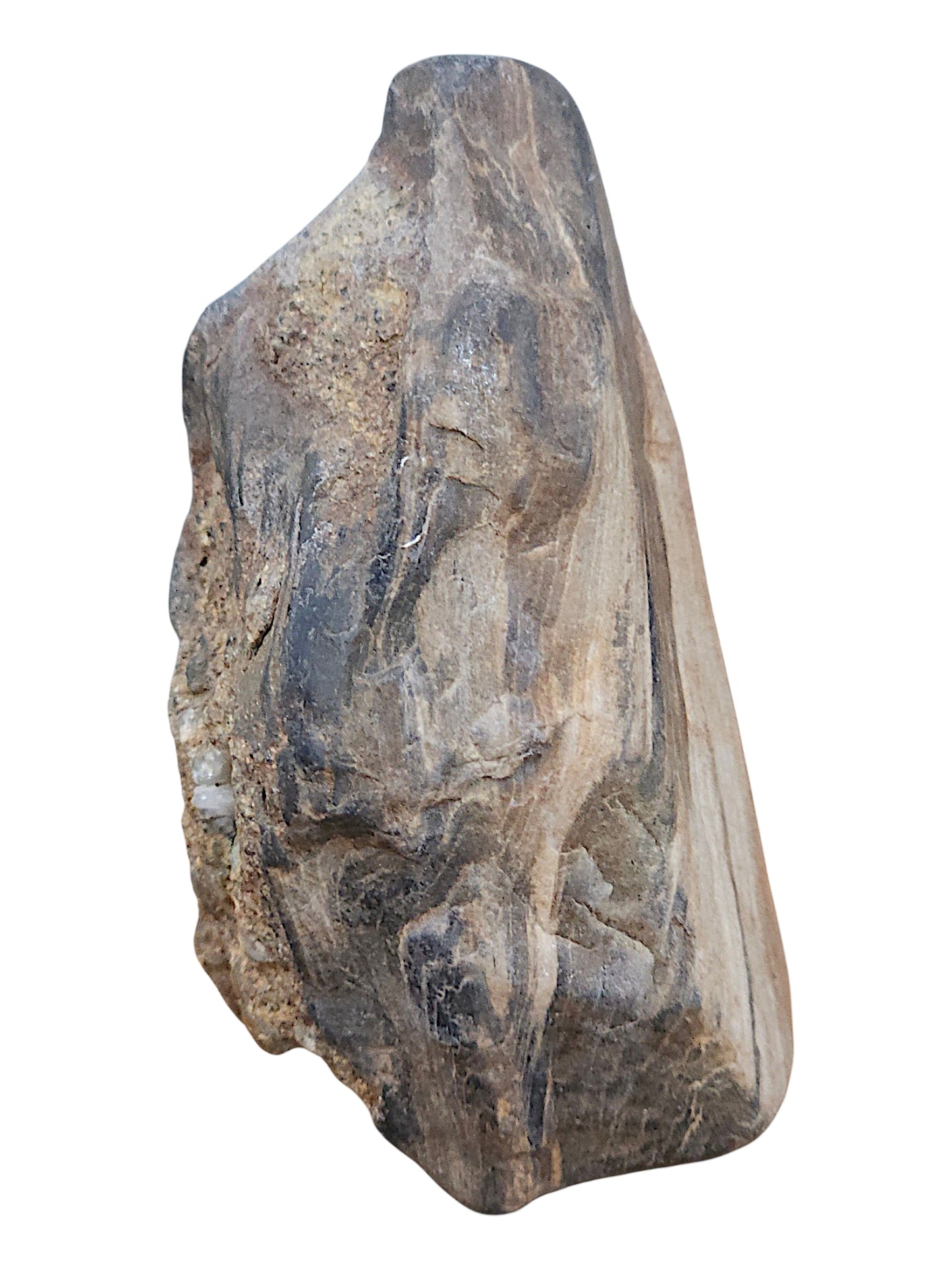 Petrified Wood Specimen – Genuine Bucca NSW Fossil