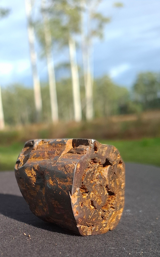 Hand-Cut & Polished Petrified Wood | Fossil Stone from Australia