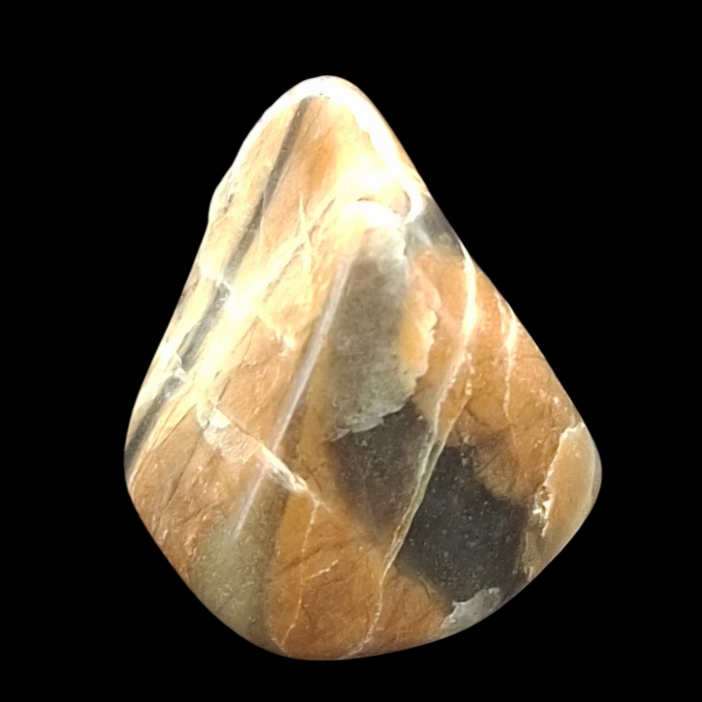 Polished Petrified Wood – Nature’s Stash Fossil Gem (3 cm)